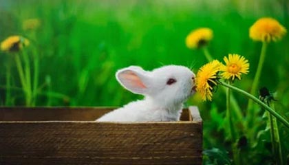 阿里高价上海医保提取2025的最新政策(2025年阿里上海医保怎么提取现金分享)